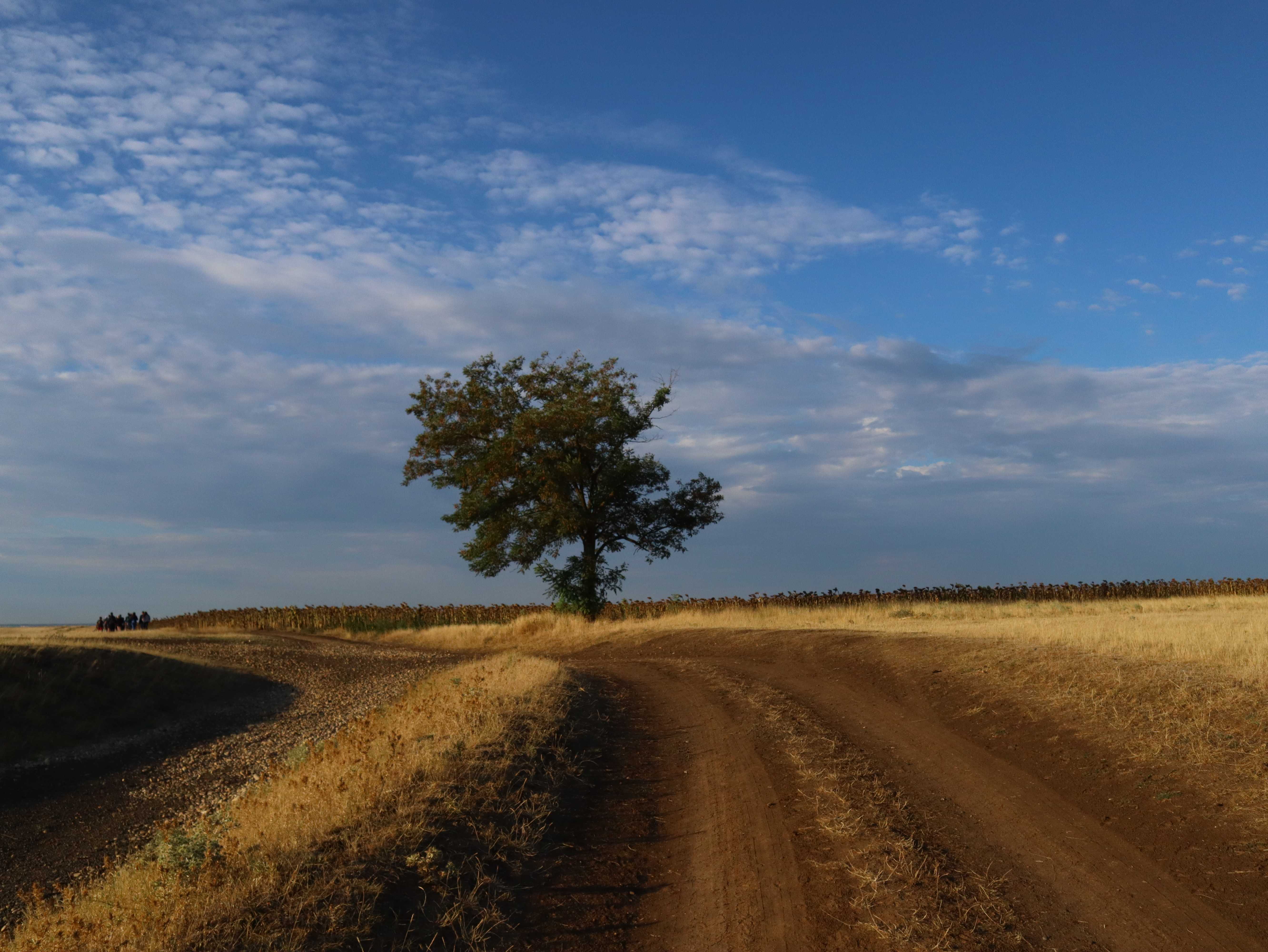 Escavação arqueológica Roménia